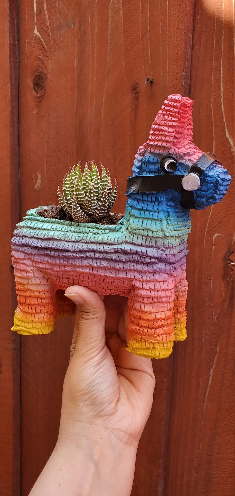 (Store Closing Sale) Piñata Planter by Seelene Succulents