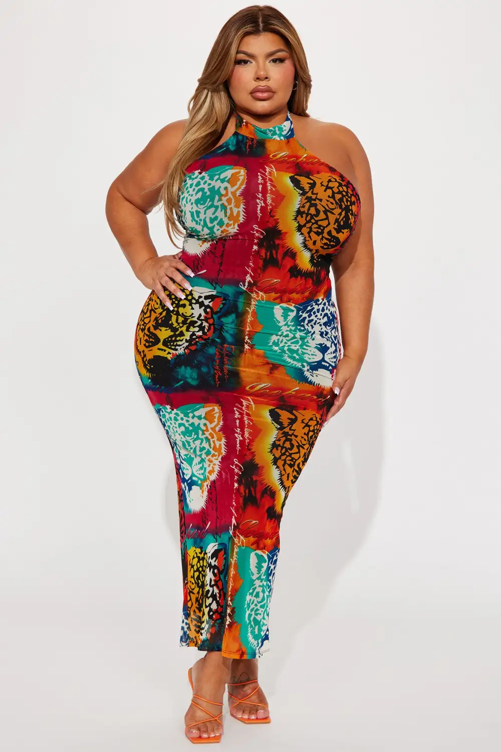 Safari Nights Mesh Maxi Dress - Multi Color