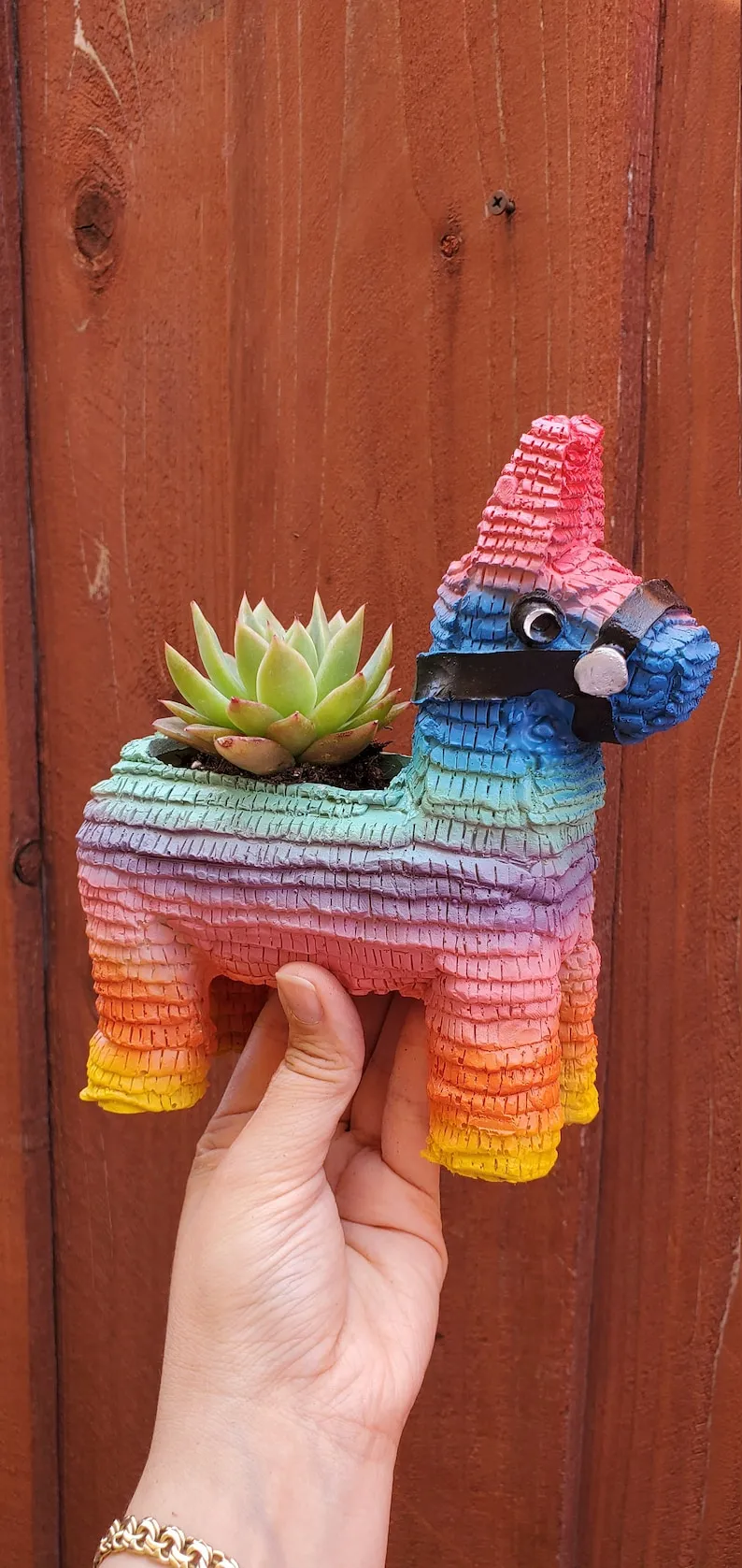 (Store Closing Sale) Piñata Planter by Seelene Succulents