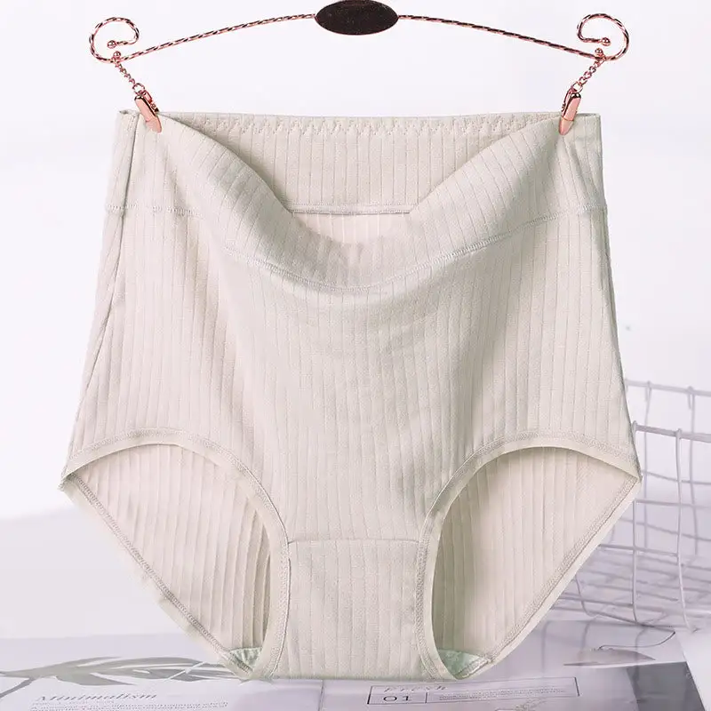 Plus Size High Waist Soft Touch Brief Panty