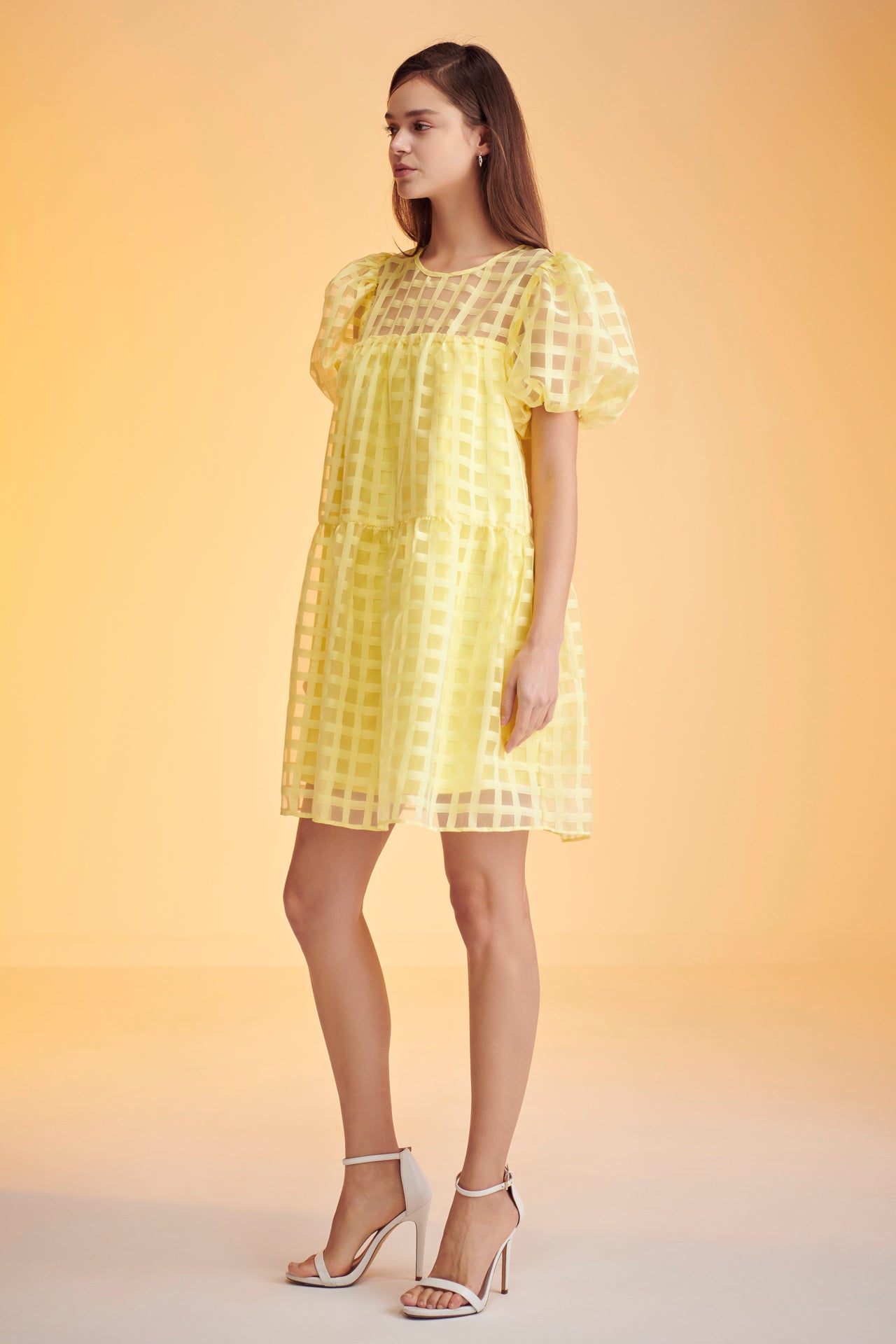 Gridded Organza Mini Dress