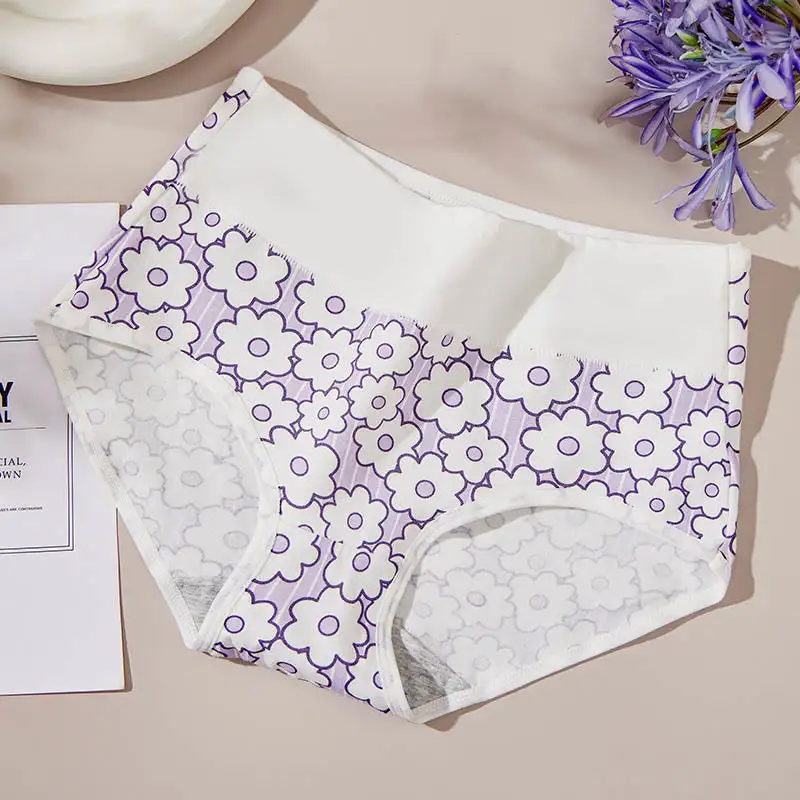 Everyday Plus Size High Waist Print Panty
