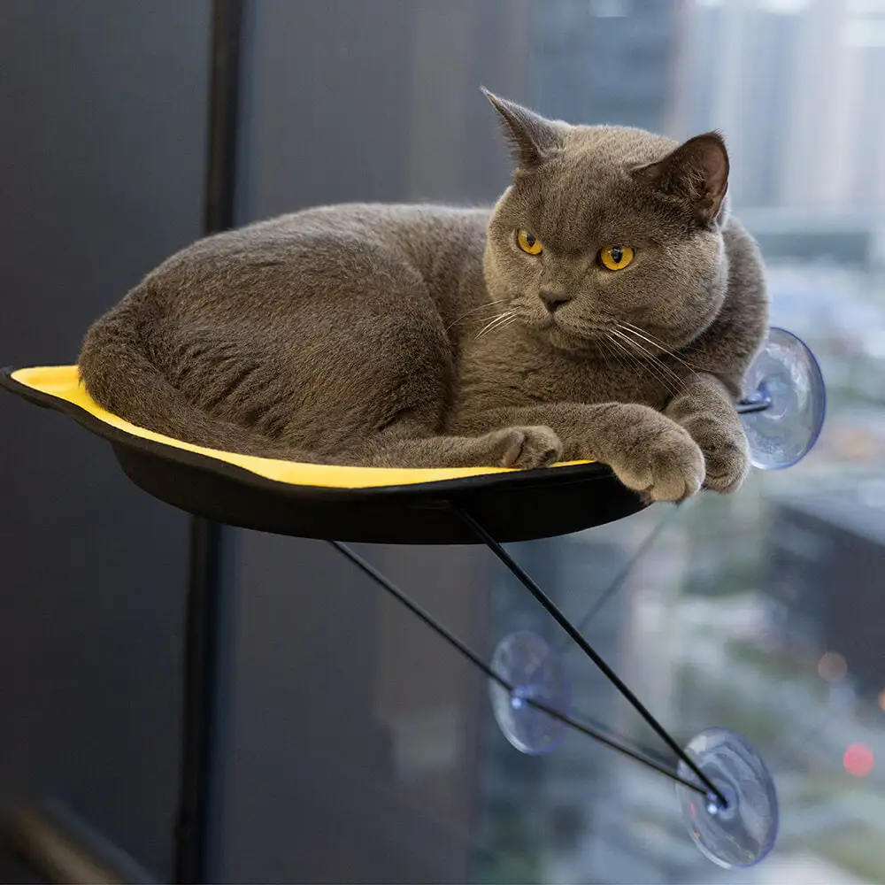 Window Perch Seat Suction Cups Cat Bed