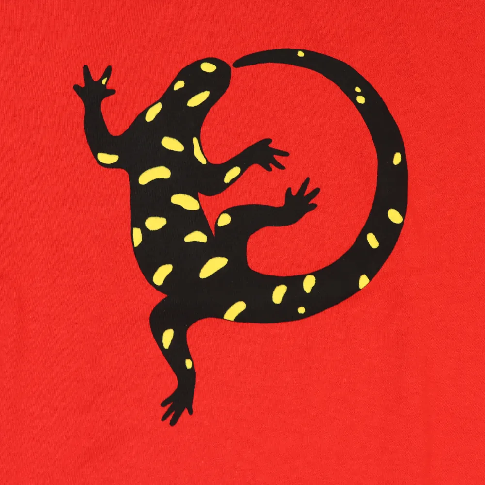 Salamander Print Round Neck Long Sleeved Women's T-Shirt