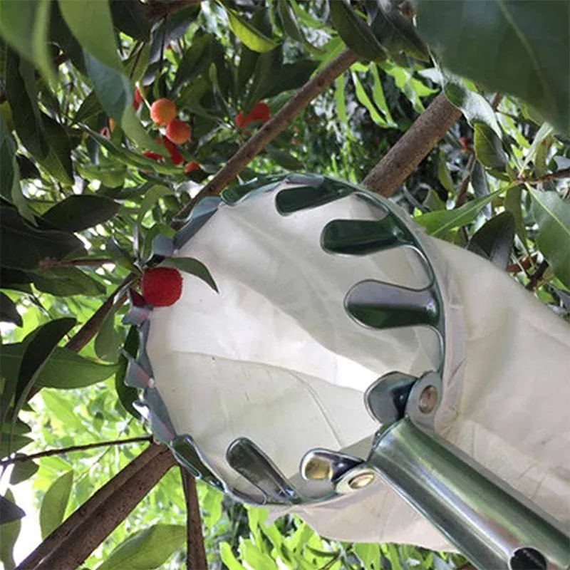 Fruit Picker Head Basket – Durable Design, Easy Attach & Perfect for Reaching High Branches Without a Ladder 🌳