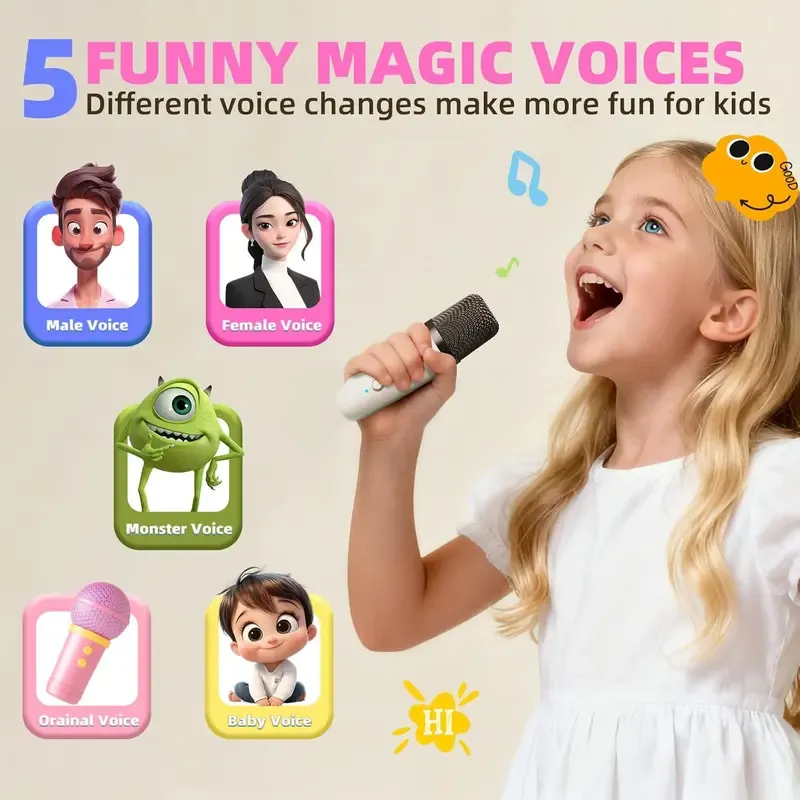 Portable karaoke sound system
