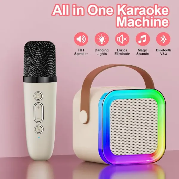 Portable karaoke sound system
