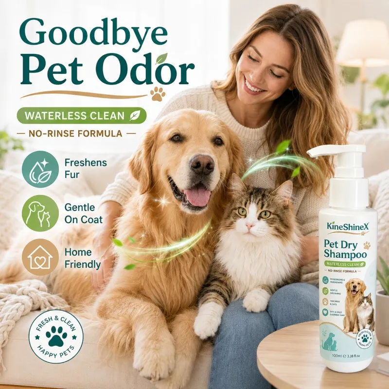 Pet dry cleaning foam
