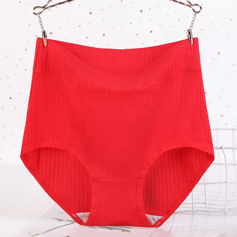 Plus Size High Waist Soft Touch Brief Panty