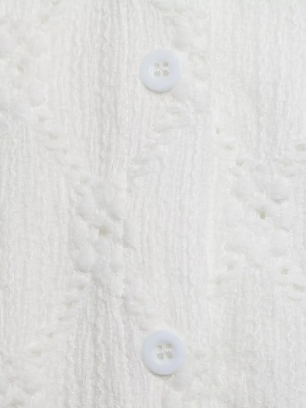Lace Detail Ruffle Sleeve Button Up Shirt