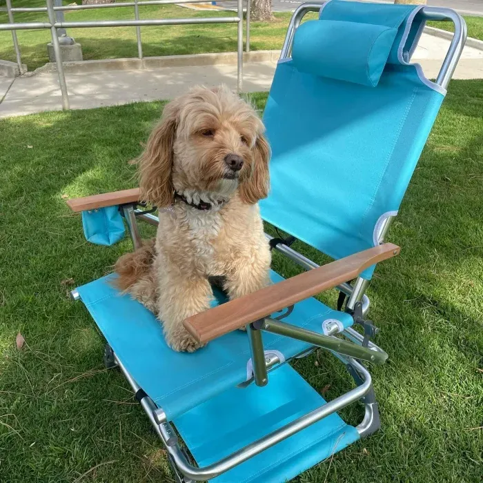 🔥LAST DAY 71% OFF🎁Aluminum folding beach chair with cup holder