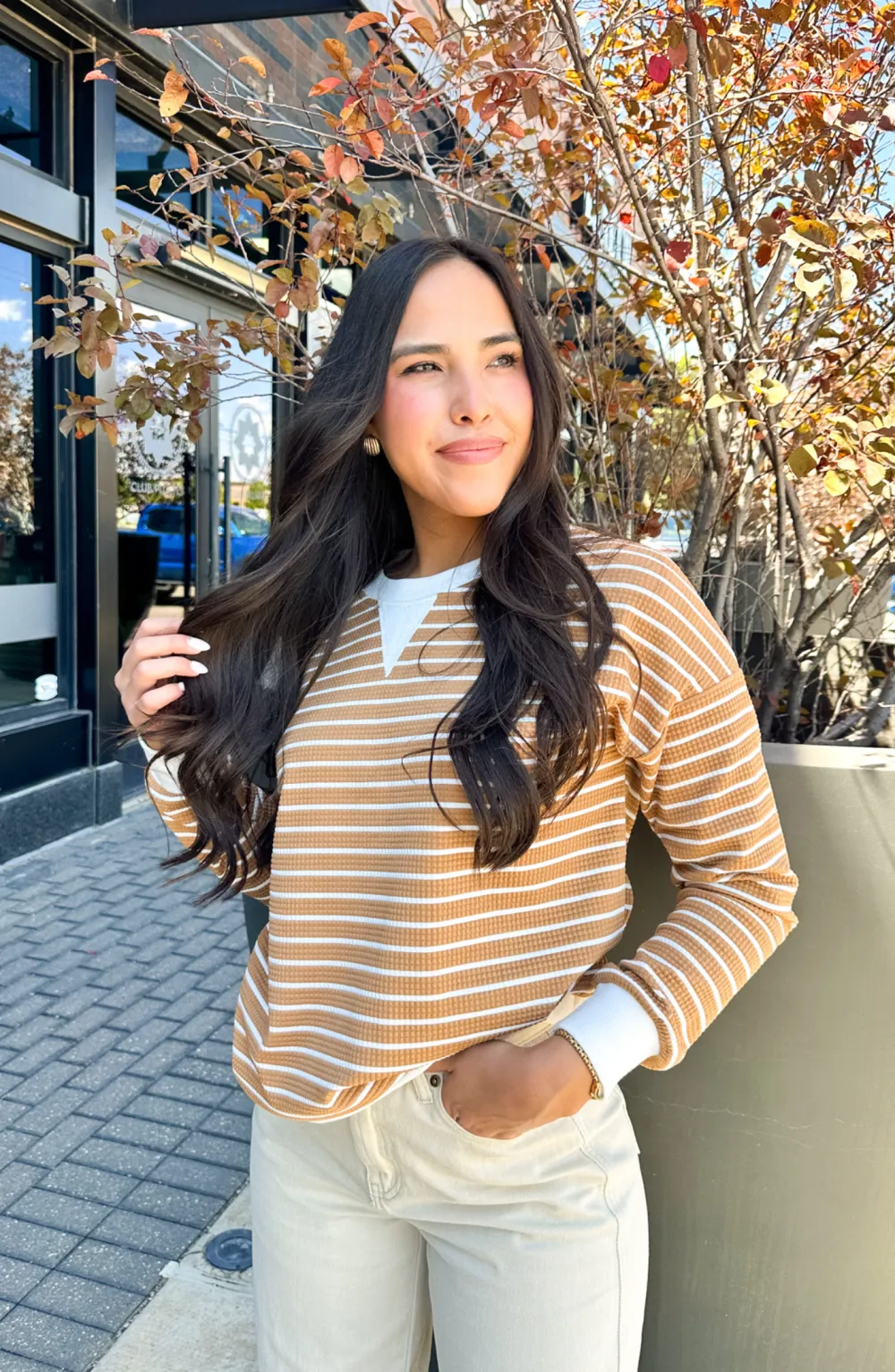 Ready For The Day Taupe Pullover Top