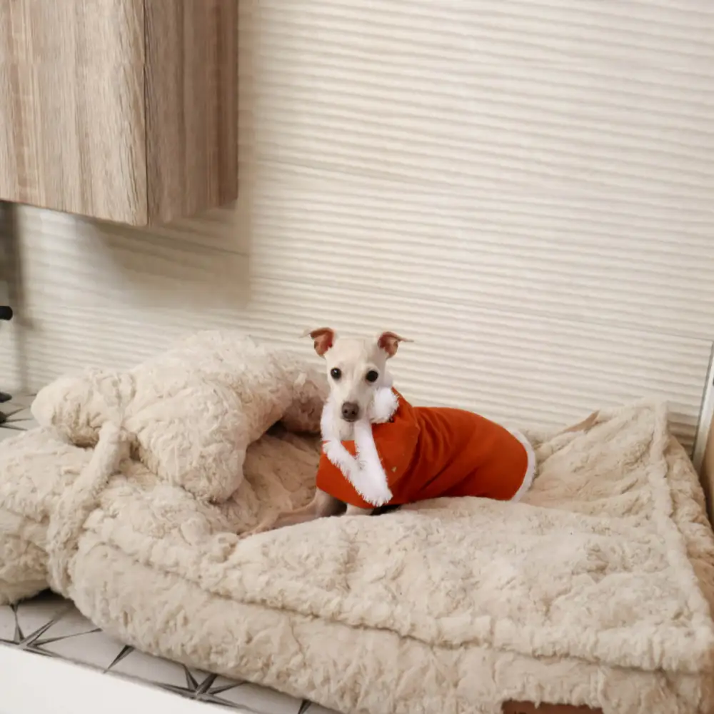 Warming Fluffy Bone Cloud Shape Claiming Dog Bed