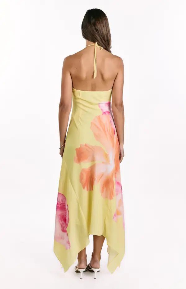 Halter Halter Neck Floral Maxi Dress