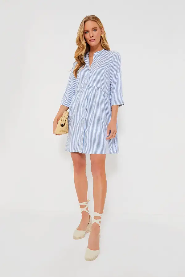 Blue Stripe Royal Shirt Dress