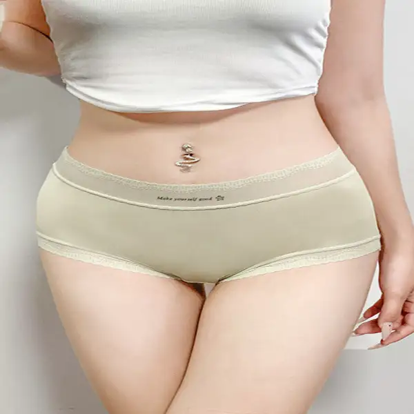 Plus Size High Waist Seamless Breathable Brief Panty