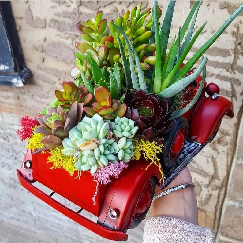 (Store Closing Sale) Red Truck DIY planter