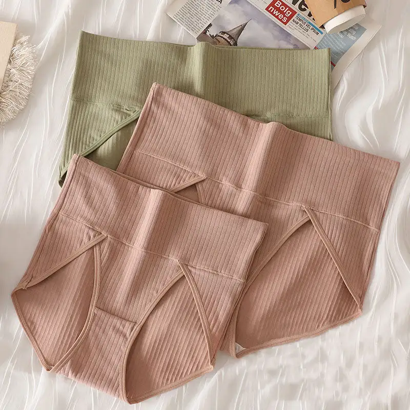Everyday Plus Size High Waist Soft Touch Brief Panty